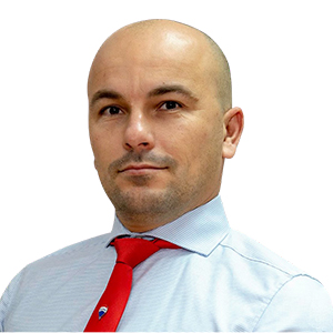 Mircea Strut